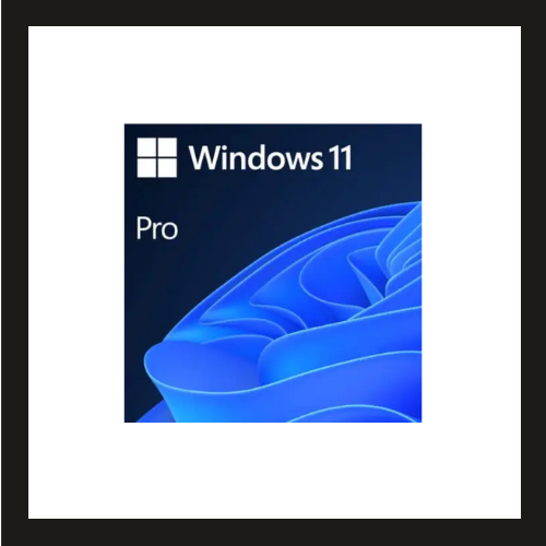 Get Windows 11 Professional today